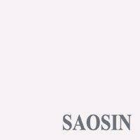 Saosin : 3rd Measurement in C